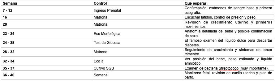 Controles del Embarazo